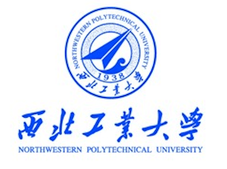 Partner 5